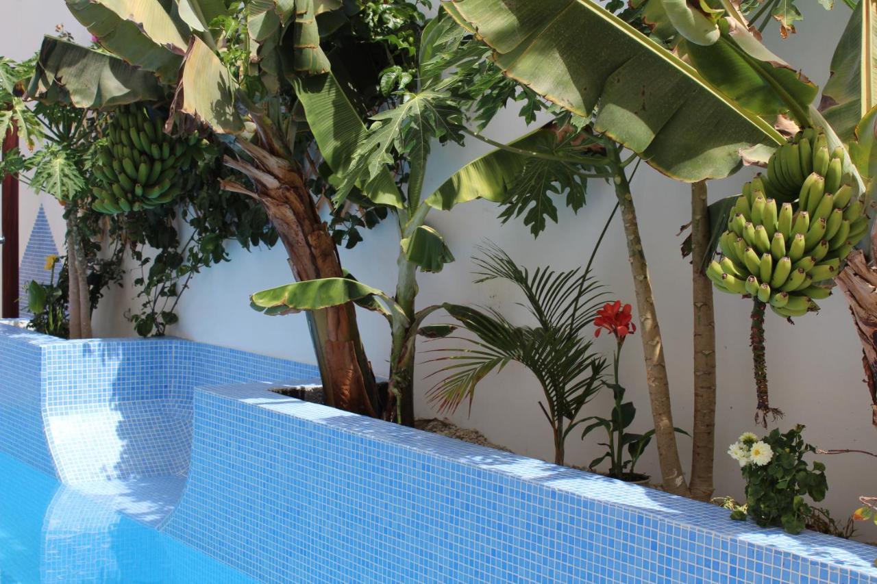 Casa El Olivo, Tenerife Valle de San Lorenzo Екстериор снимка