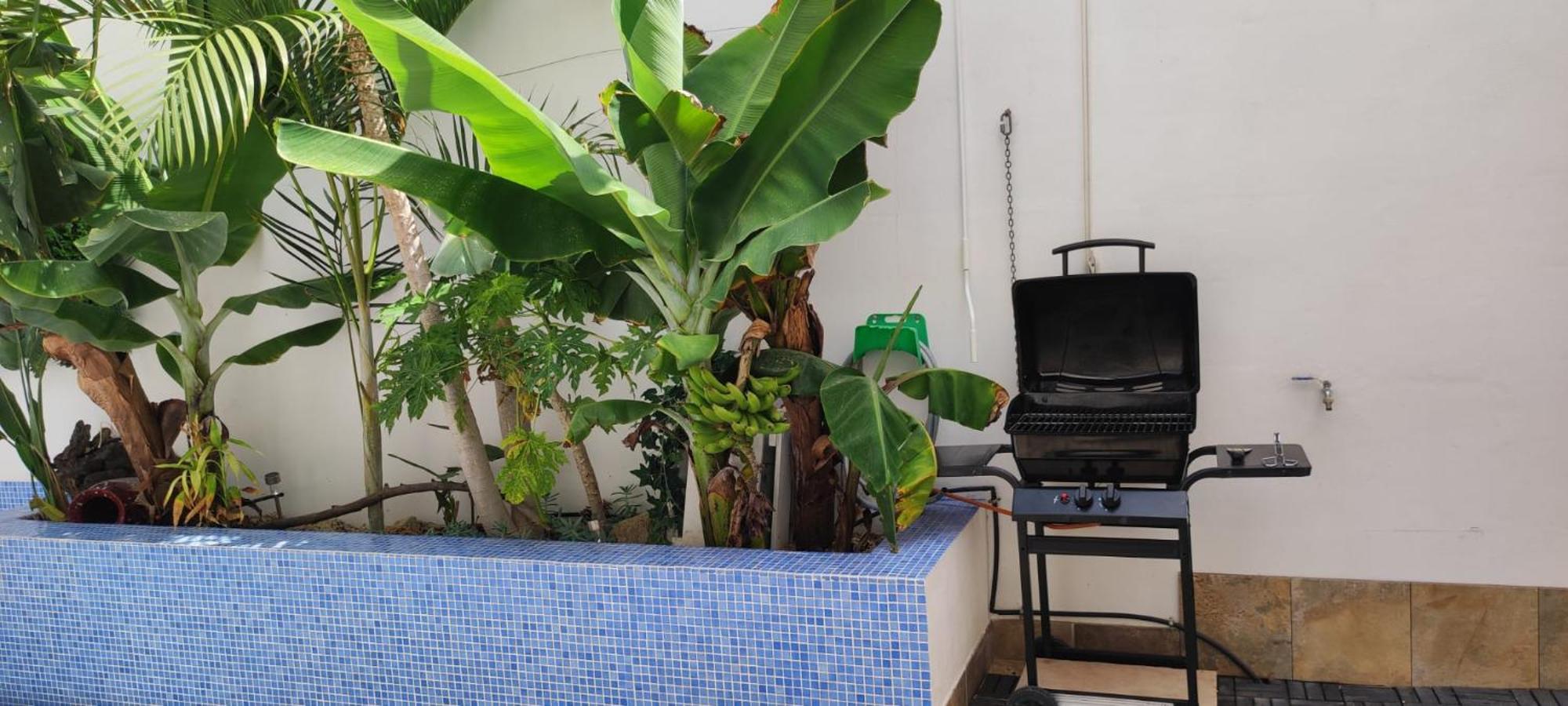 Casa El Olivo, Tenerife Valle de San Lorenzo Екстериор снимка